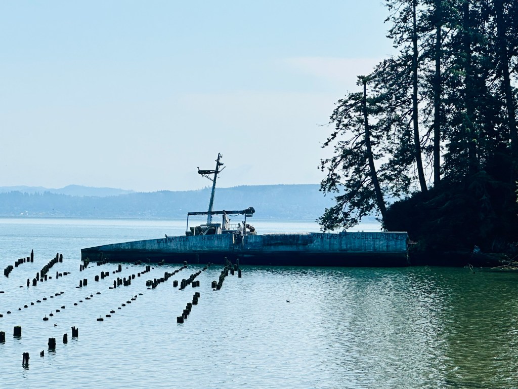 Sunken boat near Astoria, Oregon by Happy Vegan Campers