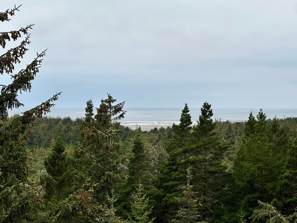 View of ocean in Seaview, Washington. Picture by Happy Vegan Campers.