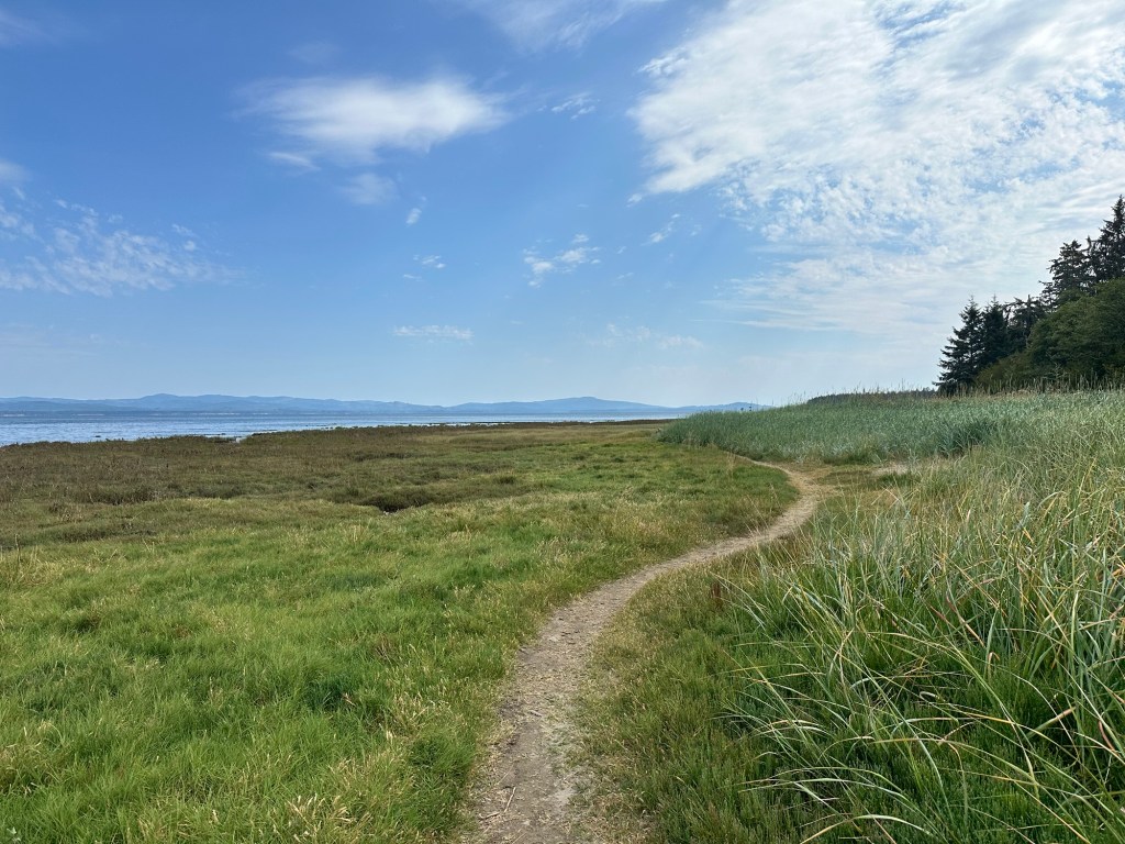 Ledbetter Point State Park and Willapa National Wildlife Refuge in Washington by Happy Vegan Campers