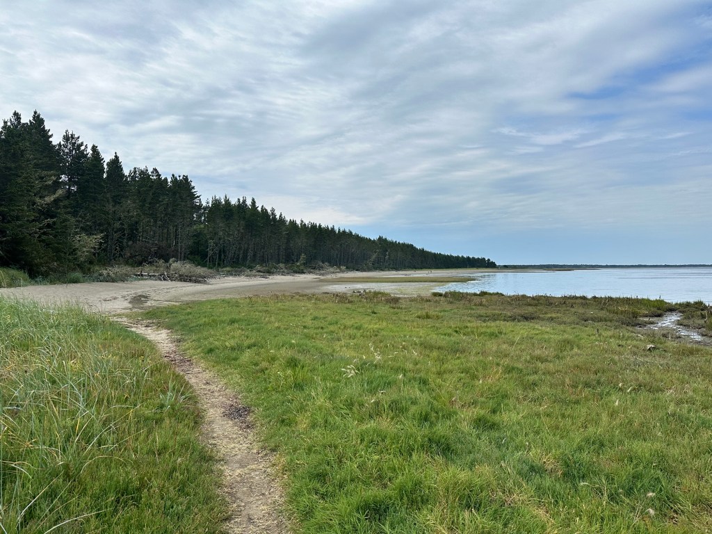 Ledbetter Point State Park and Willapa National Wildlife Refuge in Washington by Happy Vegan Campers