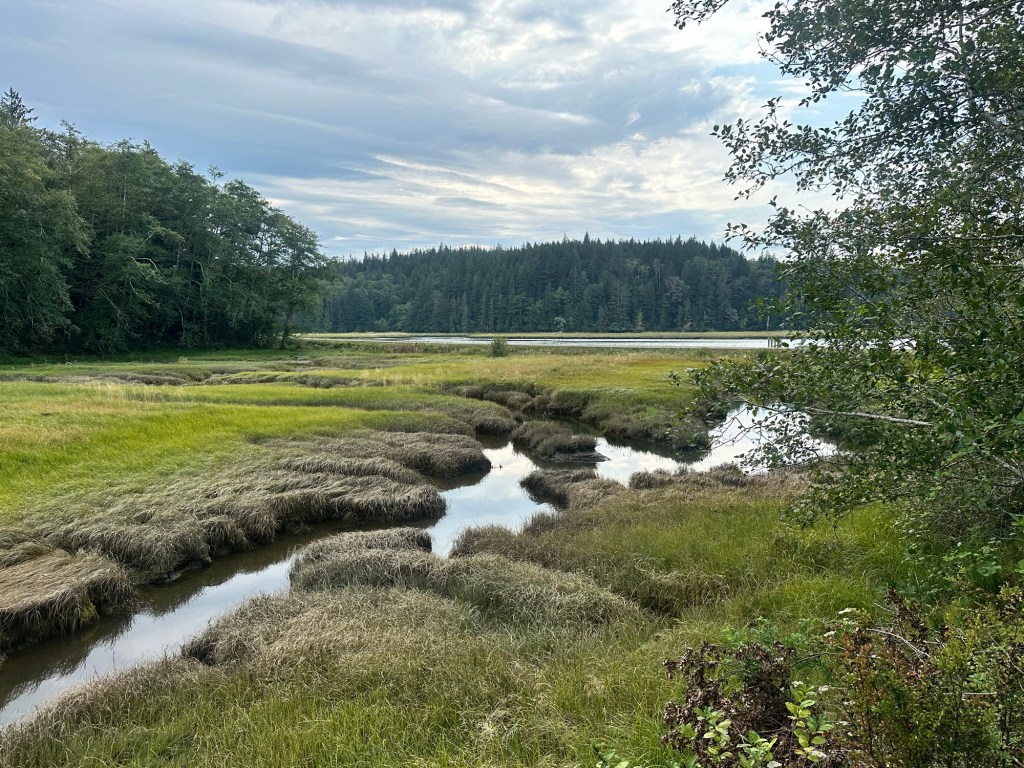 Willapa Wildlife Refuge in Washington by Happy Vegan Campers