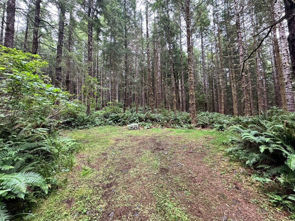Potential boondocking area in Washington by Happy Vegan Campers