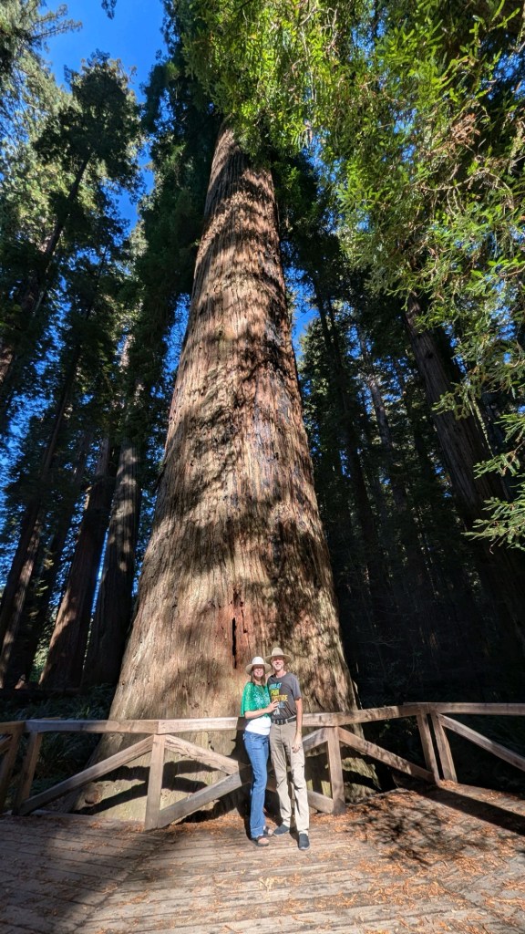 Stout Grove Trail in Redwoods National Park in California by Happy Vegan Campers
