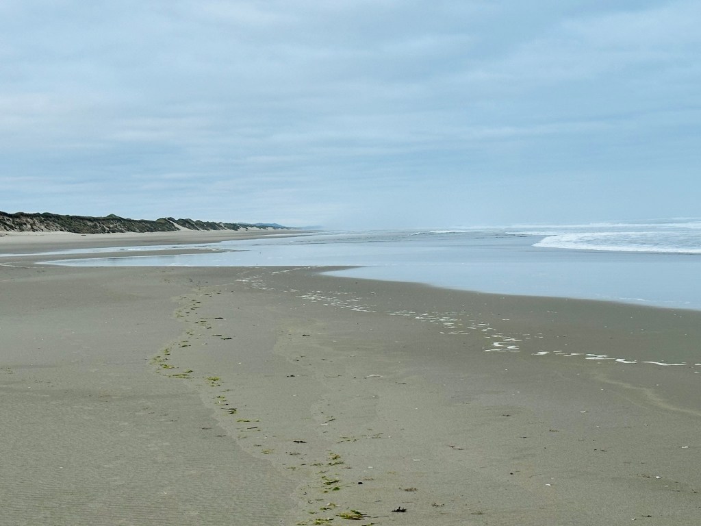 South Jetty beach in Florence, Oregon by Happy Vegan Campers