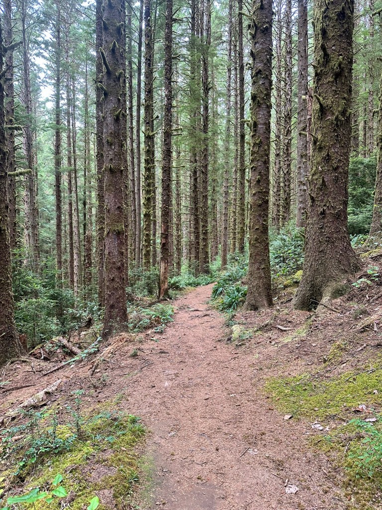 Siltcoos Lake Trail #1333 in Oregon by Happy Vegan Campers