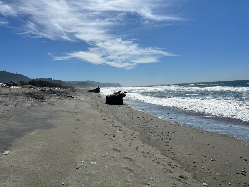 Beach near Kissing Rock in Oregon by Happy Vegan Campers