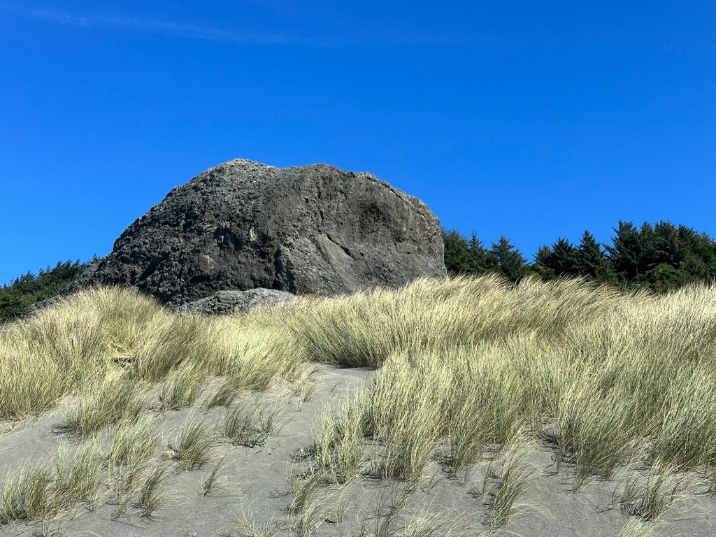 Near Kissing Rock in Oregon by Happy Vegan Campers