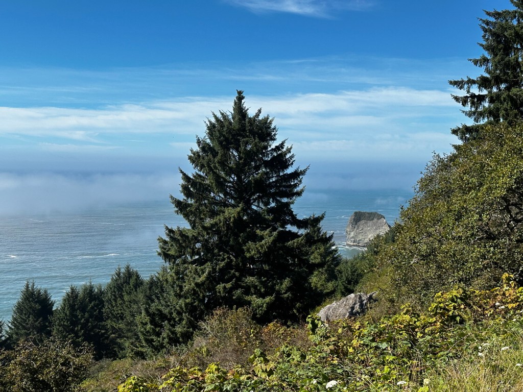 View from Redwood National Park Coastal Drive in California by Happy Vegan Campers
