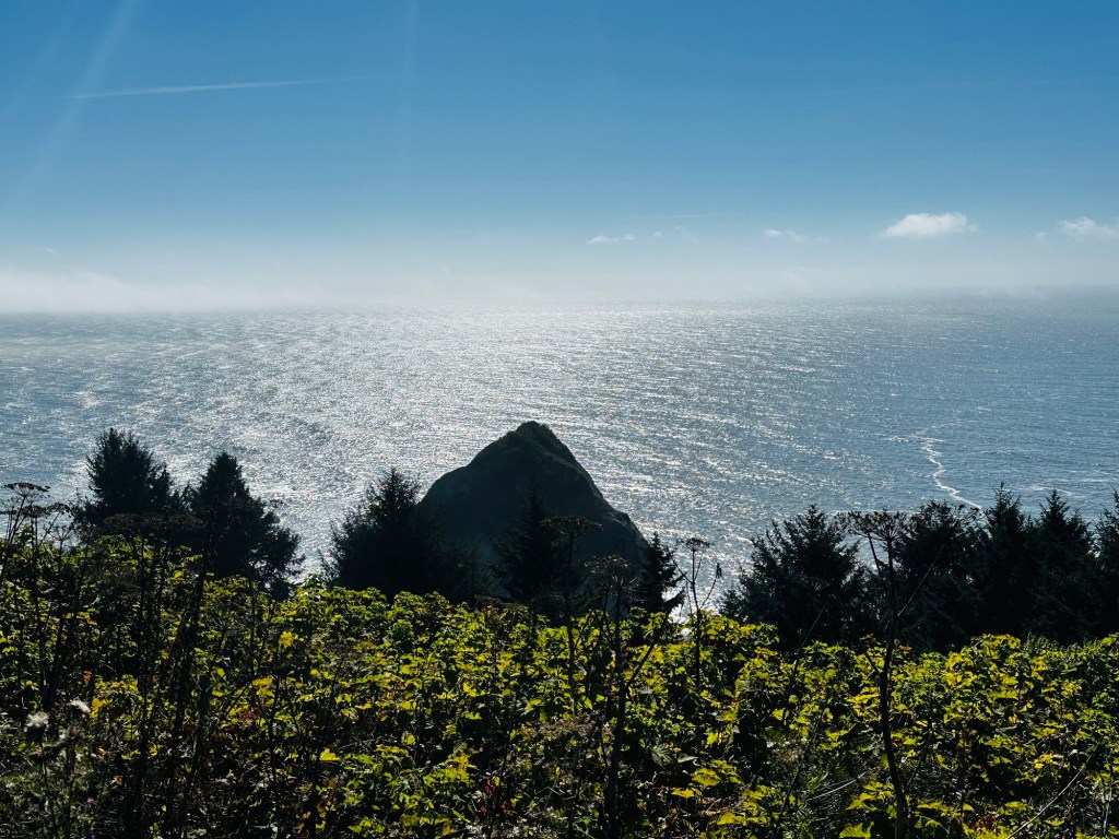 View from Redwood National Park Coastal Drive in California by Happy Vegan Campers