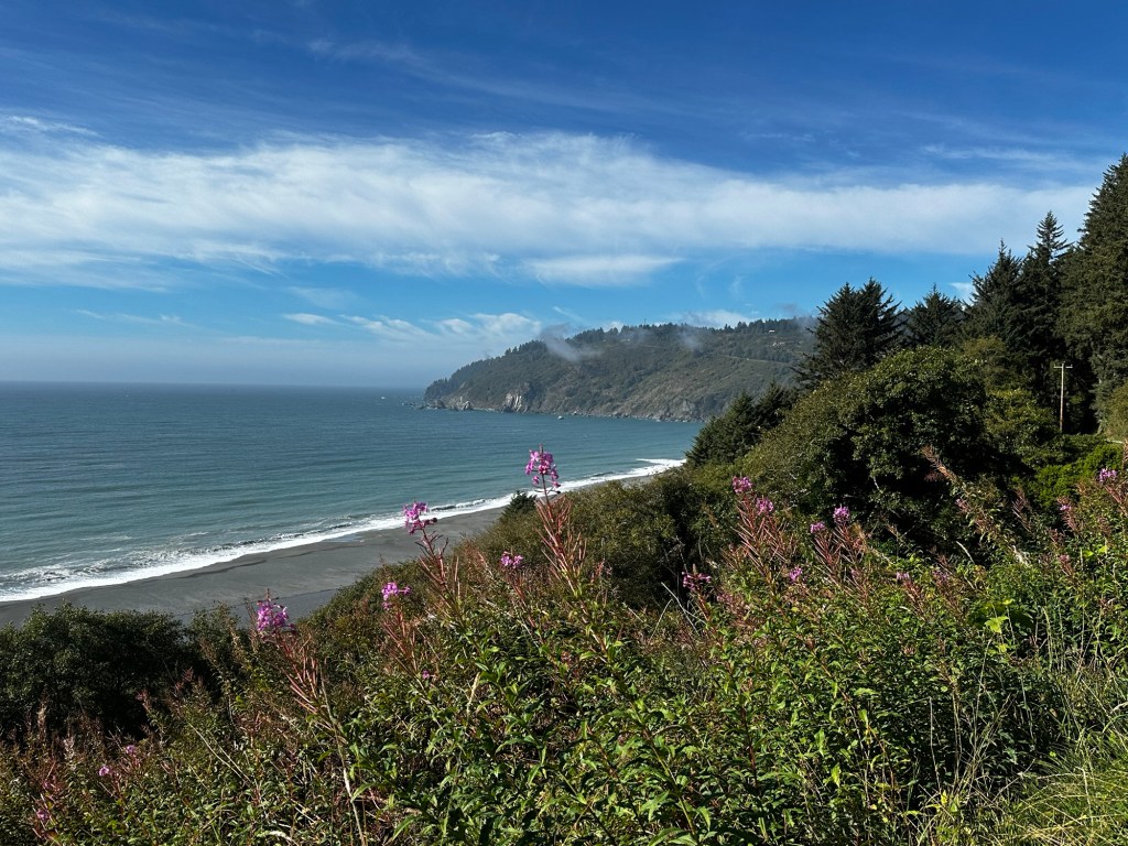 View from Redwood National Park Coastal Drive in California by Happy Vegan Campers