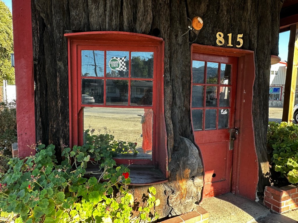Redwood Tree Service Station in Ukiah California by Happy Vegan Campers