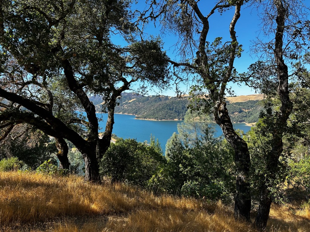 Lake Sonoma in California by Happy Vegan Campers