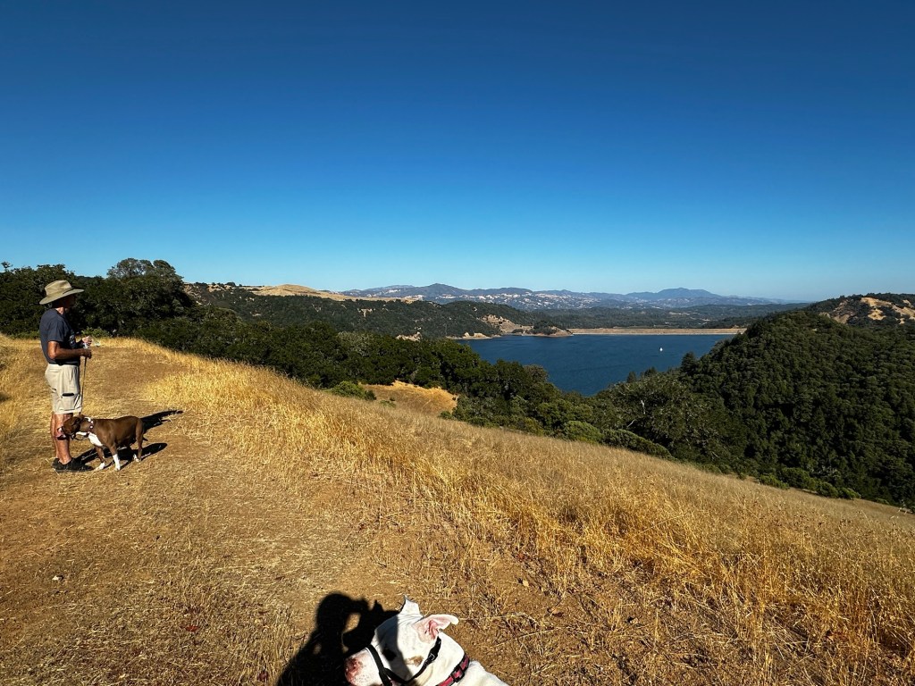 Lake Sonoma in California by Happy Vegan Campers