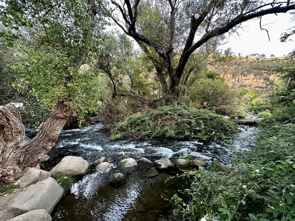 Putah Creek in Winters, California by Happy Vegan Campers
