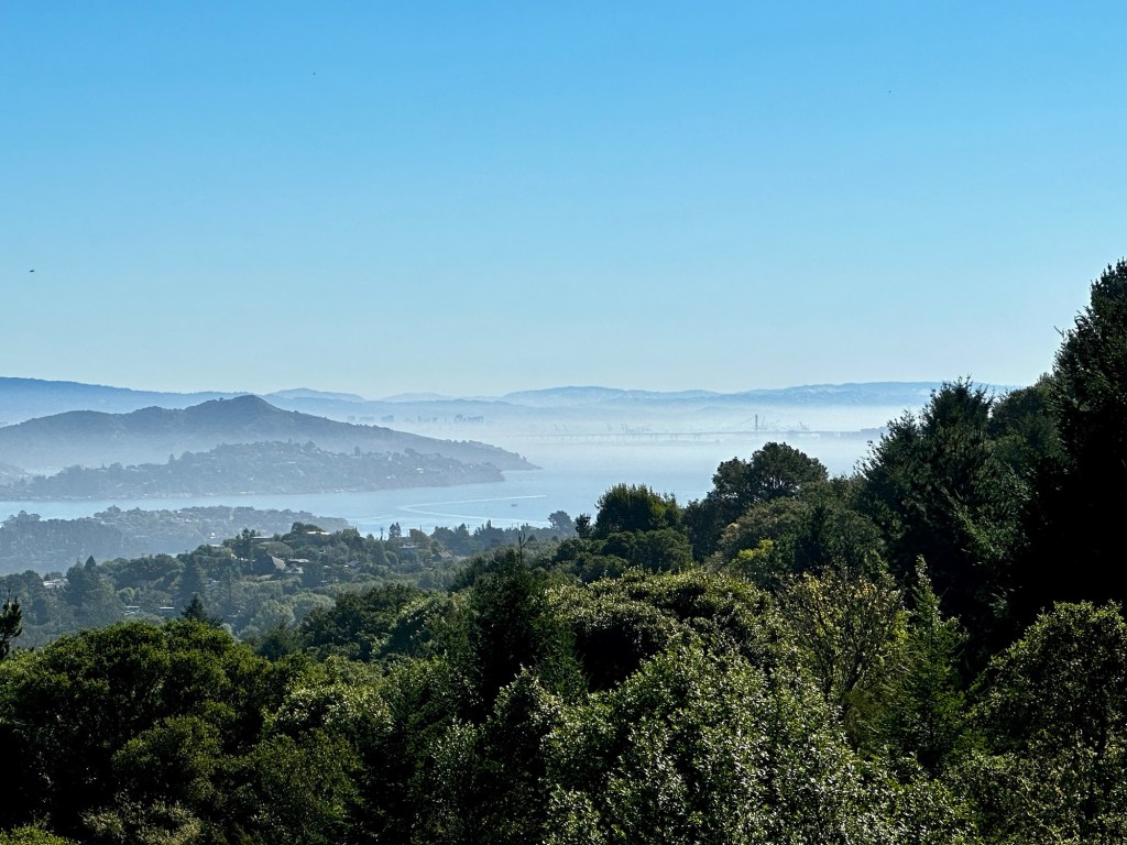 View near Muir Woods in California by Happy Vegan Campers