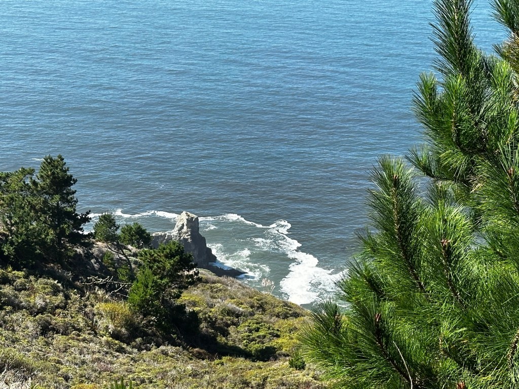 Muir Beach Overlook in Mill Valley, California by Happy Vegan Campers