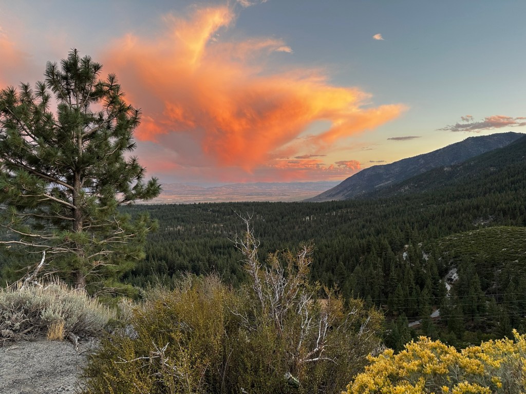 Sunset over Carson City, Nevada by Happy Vegan Campers