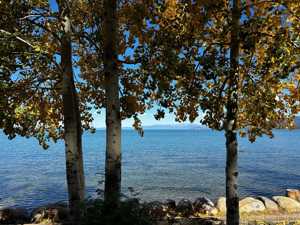 Regan Beach on Lake Tahoe by Happy Vegan Campers