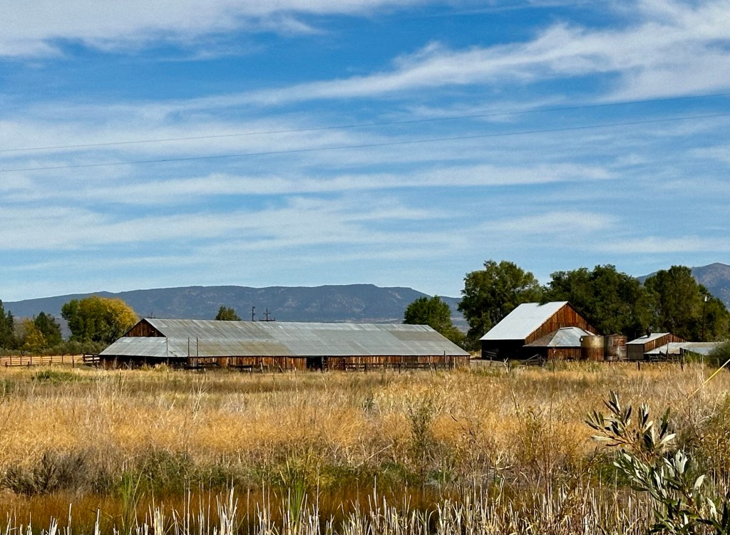 Barns in Minden, Nevada by Happy Vegan Campers