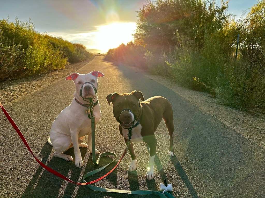 Peter and Marcel on the path at Seeman Ranch Park in Minden, Nevada by Happy Vegan Campers