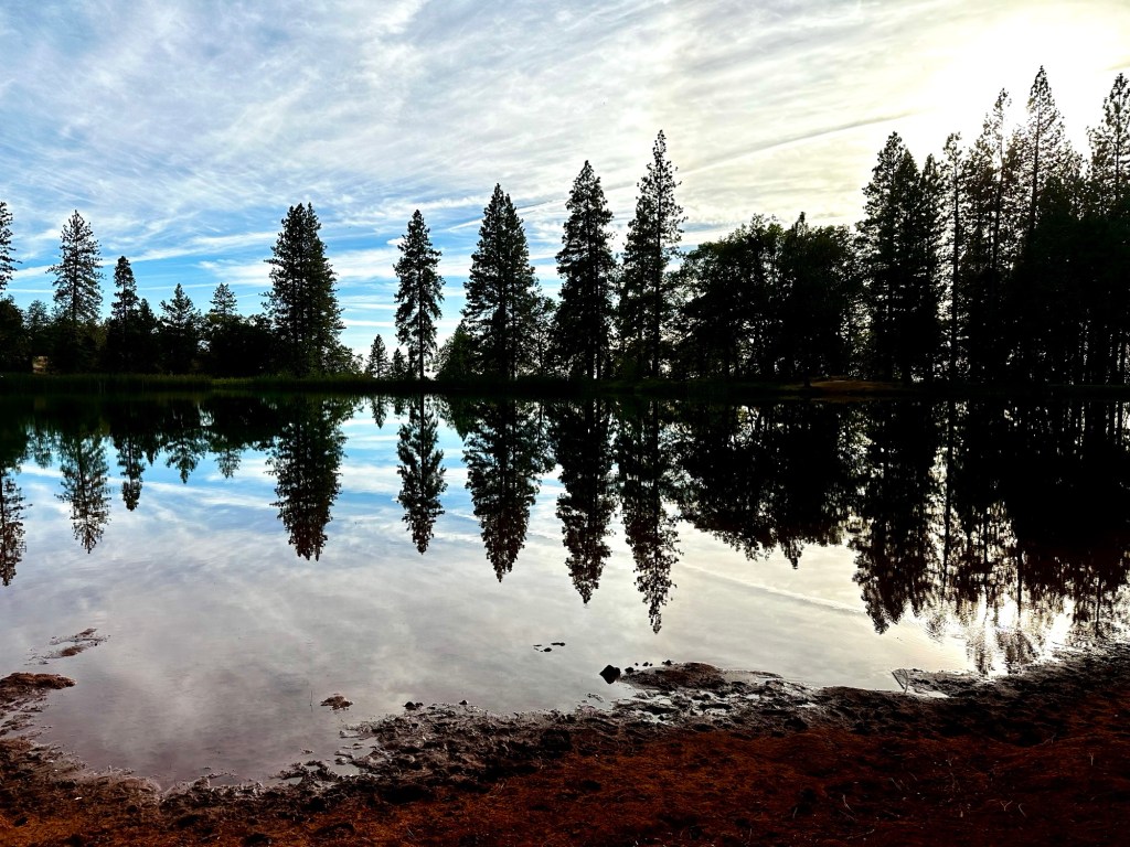 Greenwood Reservoir in Greenwood, California by Happy Vegan Campers