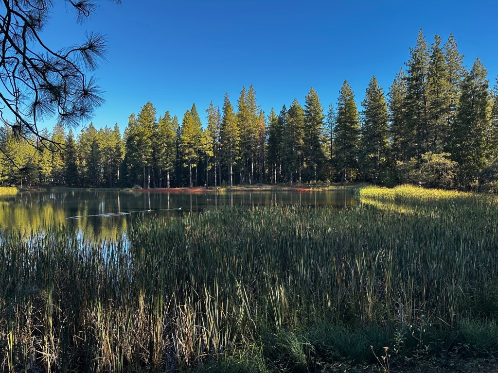 Greenwood Reservoir in Greenwood, California by Happy Vegan Campers 