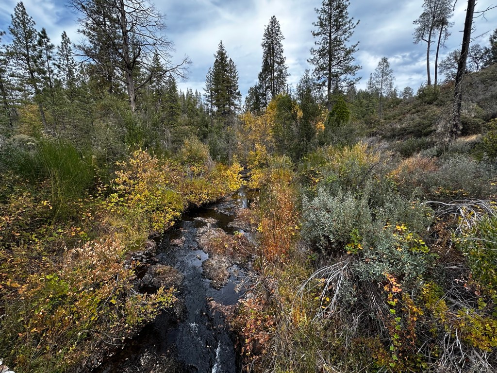 Traverse Creek Special Interest Area in Georgetown, California by Happy Vegan Campers