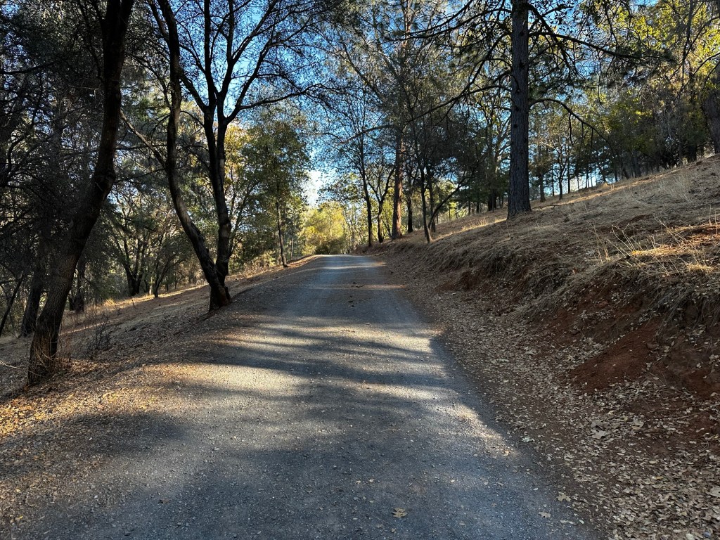 Trail at Hidden Falls in Auburn, California by Happy Vegan Campers
