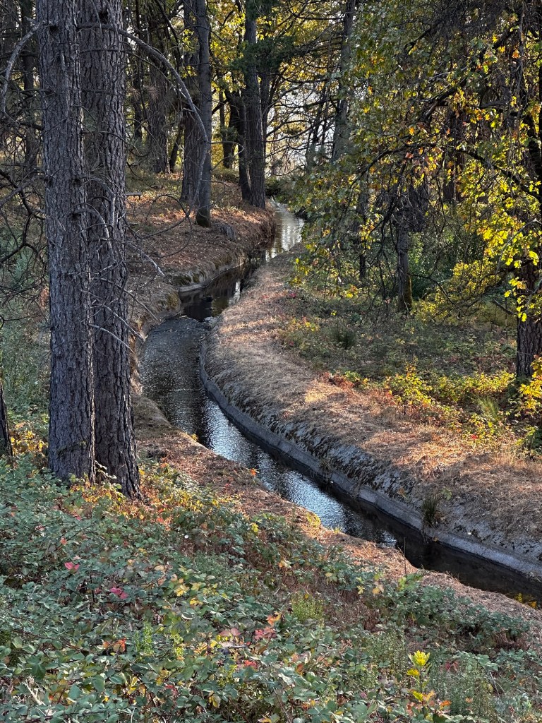 Irrigation canal in Greenwood, California by Happy Vegan Campers