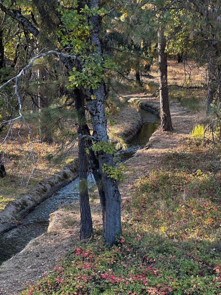 Irrigation canal in Greenwood, California by Happy Vegan Campers