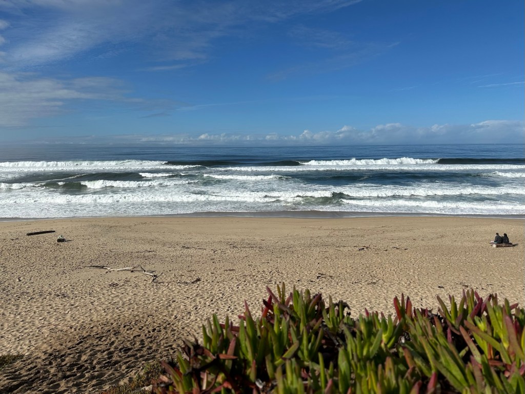 Marina State Beach in Marina, California. Picture by Happy Vegan Campers.