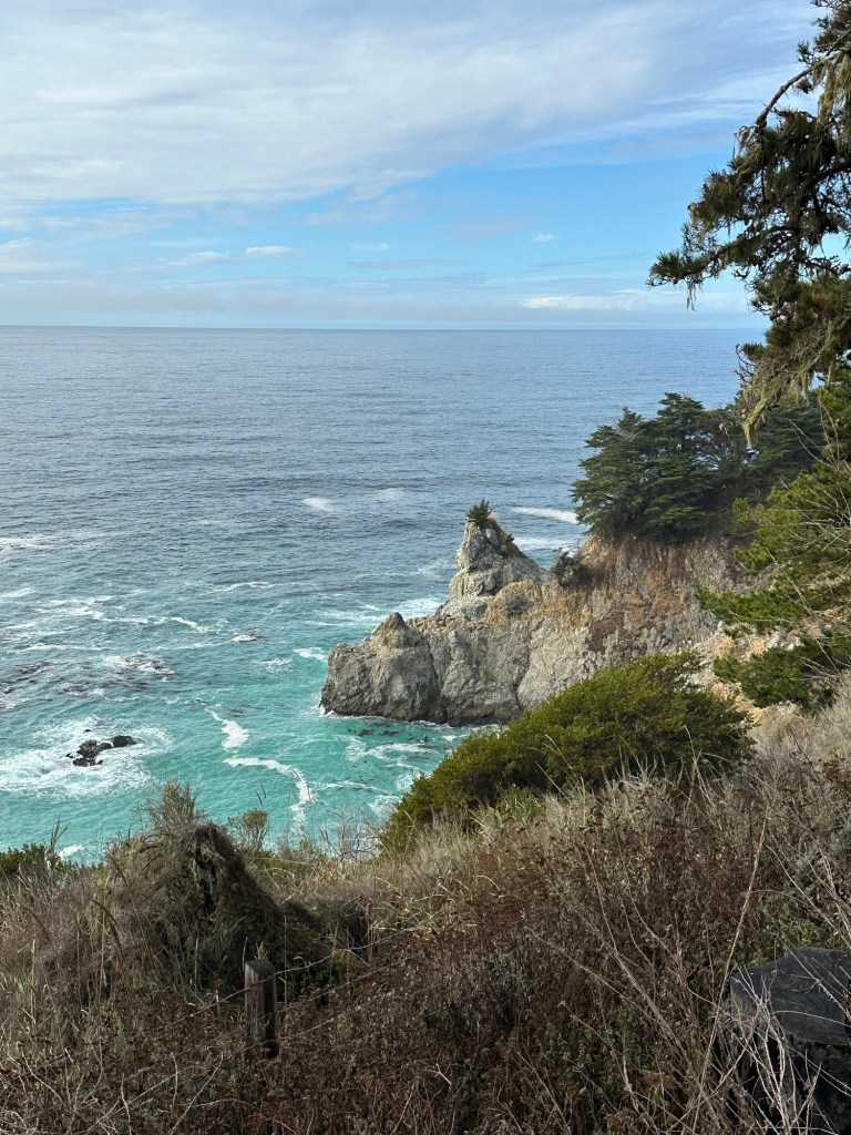 View near McWay Falls near Julia Pfeiffer Burns State Park in California. Picture by Happy Vegan Campers.