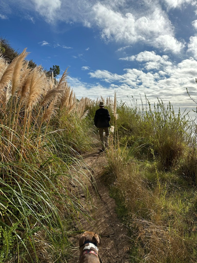 Daniel and Marcel on Boronda Trail near Big Sur, California. Picture by Happy Vegan Campers.