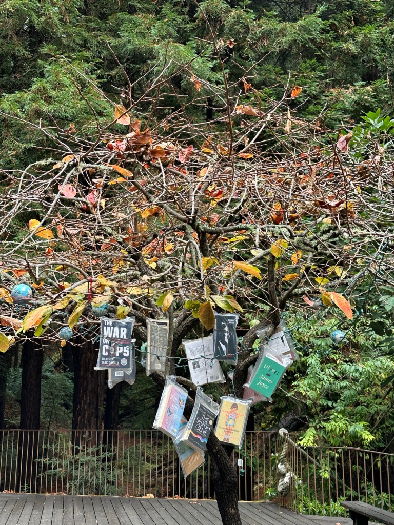 Henry Miller Memorial Library in Big Sur, California. Picture by Happy Vegan Campers.