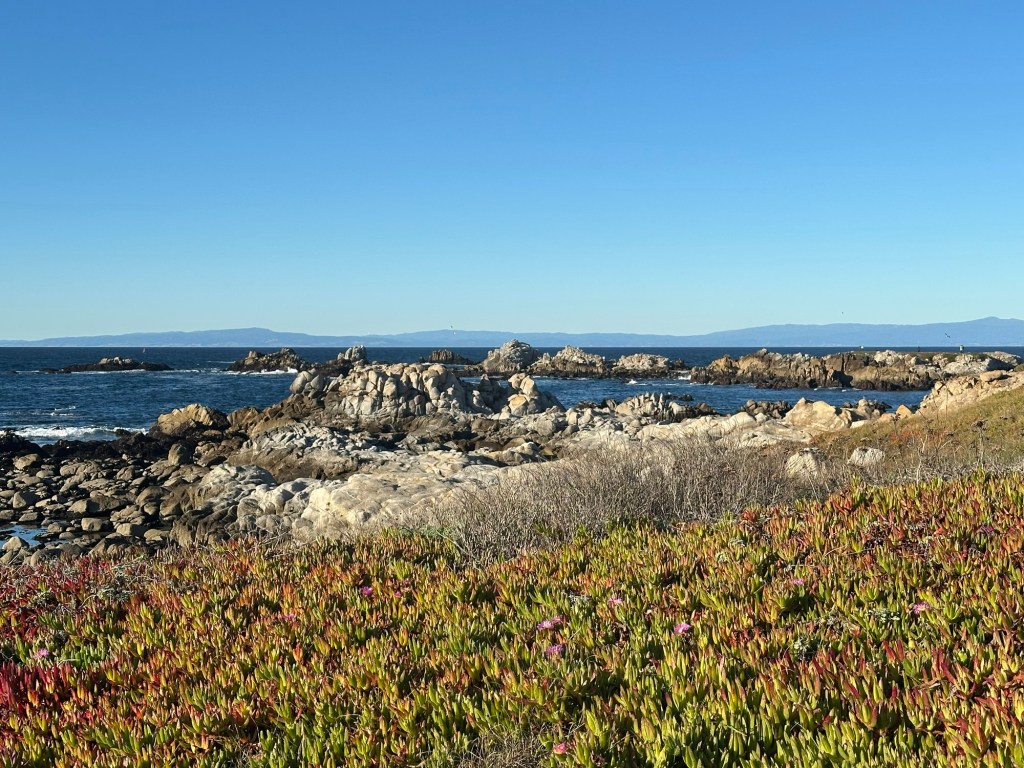 Coastal views near Carmel-by-the-Sea, California. Picture by Happy Vegan Campers.
