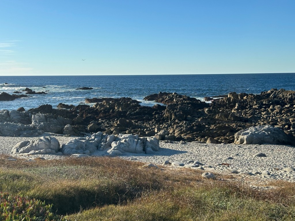 Coastal views near Carmel-by-the-Sea, California. Picture by Happy Vegan Campers.