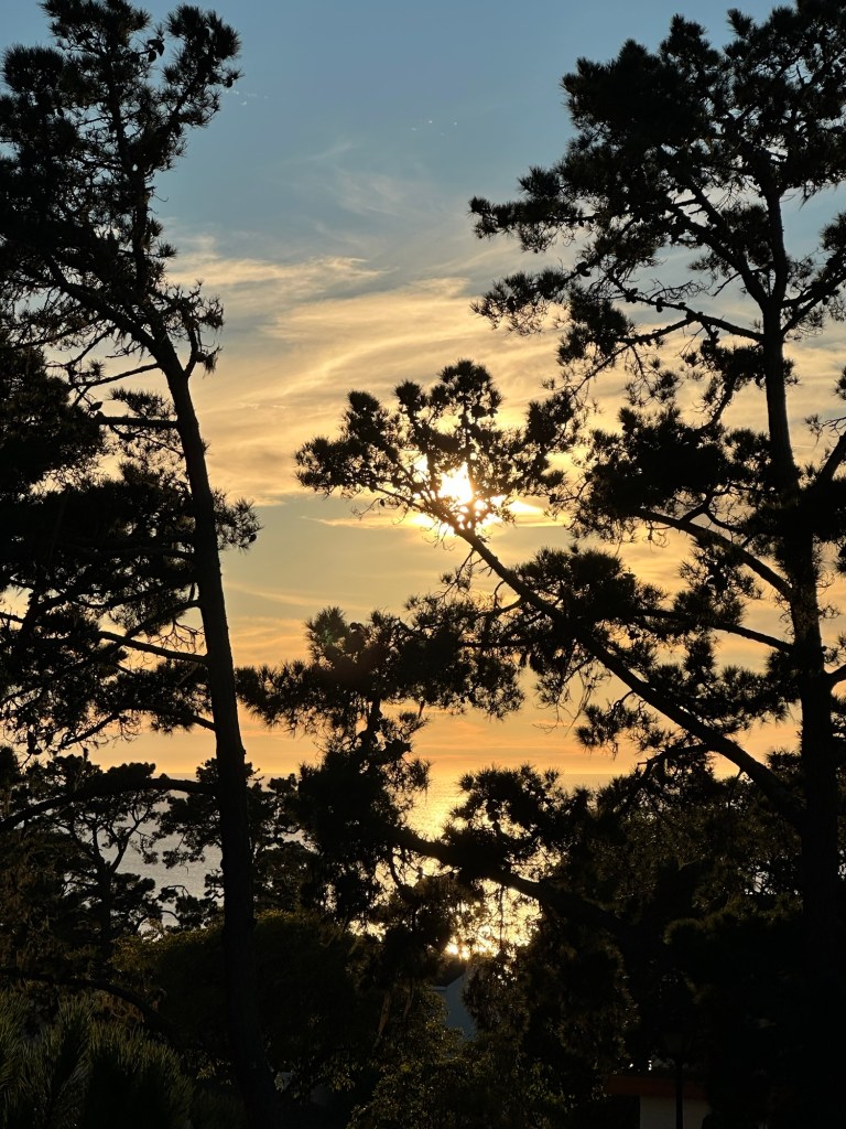 View from Carmel-by-the-Sea, California. Picture by Happy Vegan Campers.