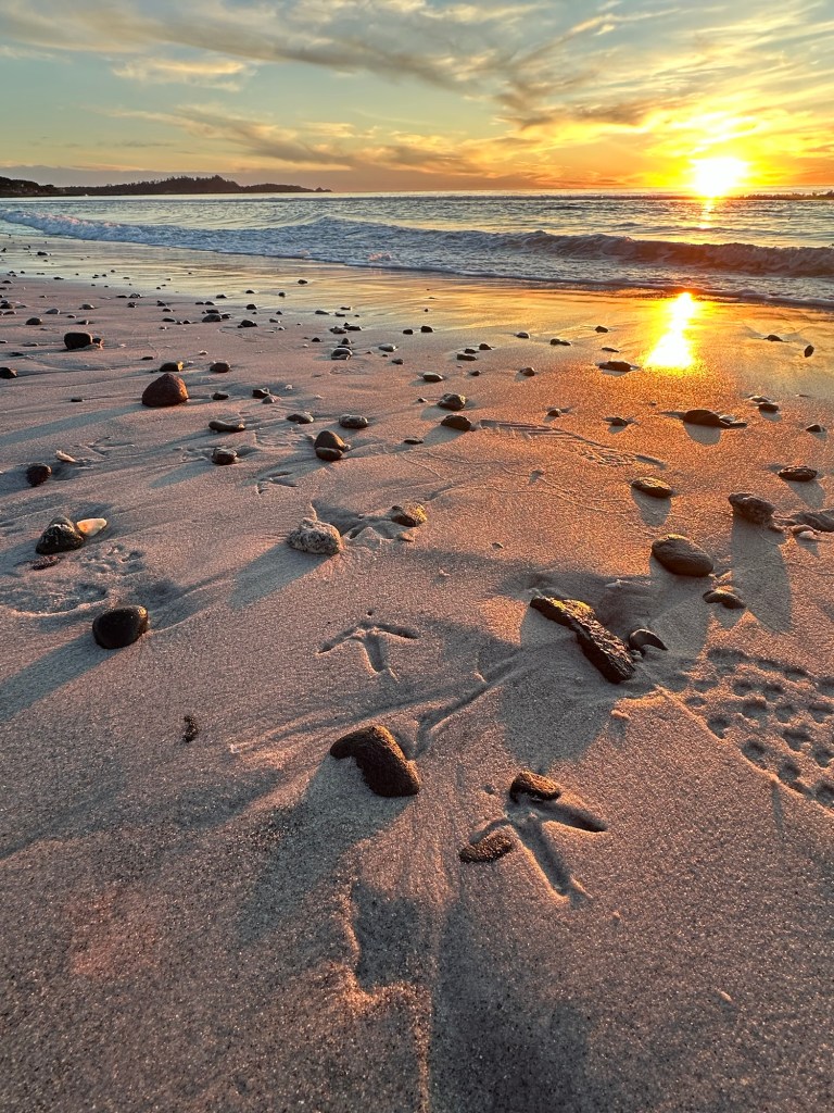 Sunset on the beach in Carmel-by-the-Sea, California. Picture by Happy Vegan Campers.