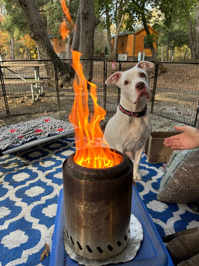 Peter enjoying the warmth from our small fire pit. Happy Vegan Campers.