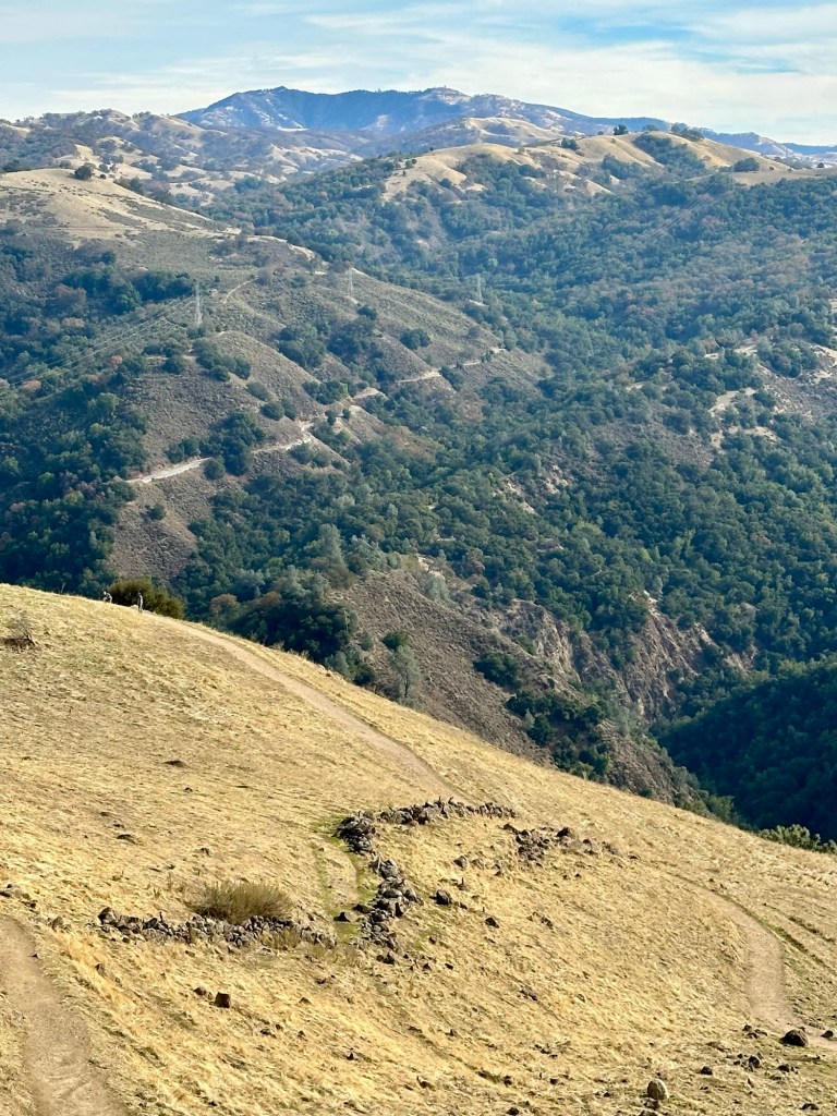Mystery Wall at Sierra Vista Open Space Preserve in the Bay Area, California. Picture by Happy Vegan Campers.