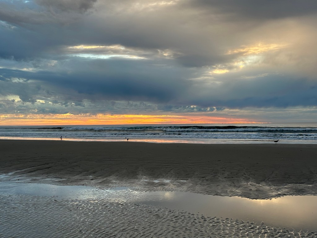 Morro Strand State Beach in Morro Bay, California. Picture by Happy Vegan Campers.