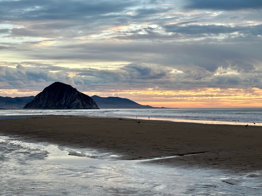 Morro Strand State Beach in Morro Bay, California. Picture by Happy Vegan Campers.