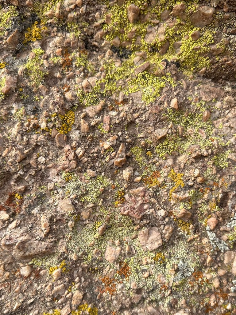 Vasquez Rocks Natural Area Park in Agua Dulce, California. Picture by Happy Vegan Campers.