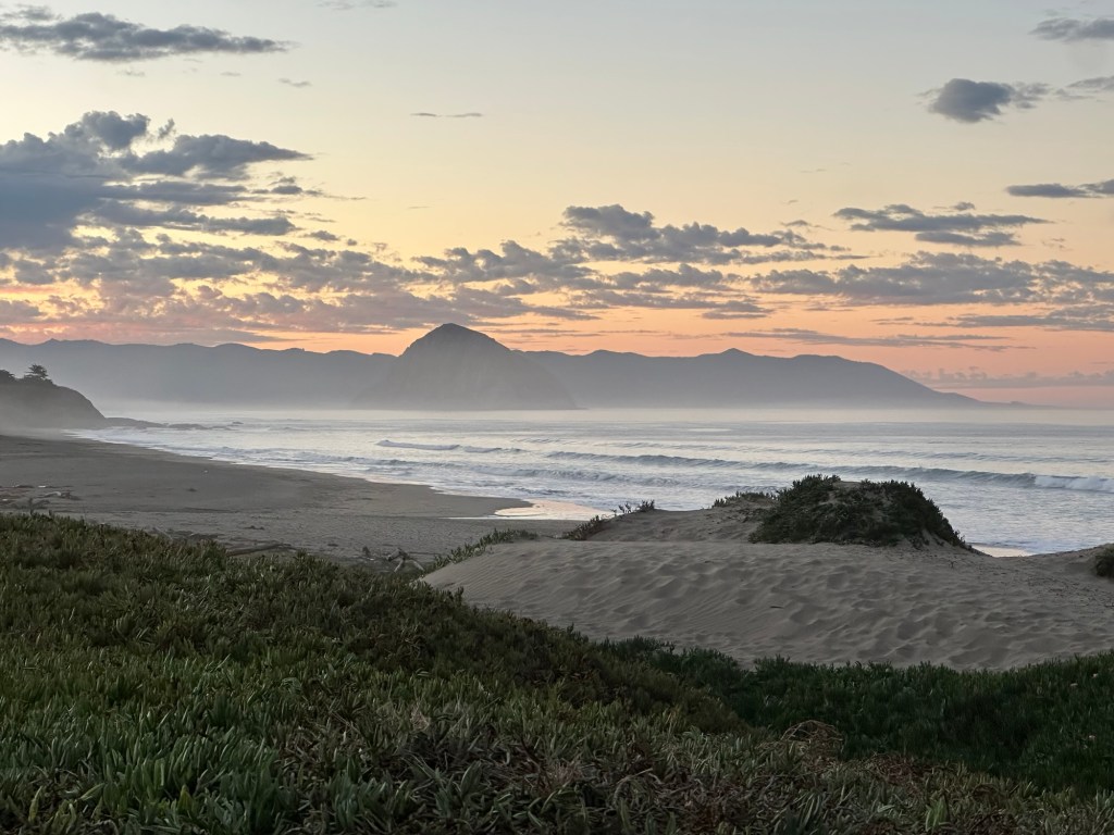 Dog beach in Morro Bay, California. Picture by Happy Vegan Campers.