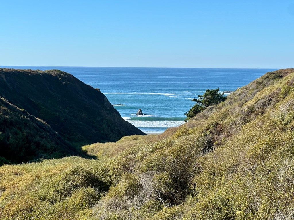View from Highway 1 near San Simeon, California. Picture by Happy Vegan Campers.
