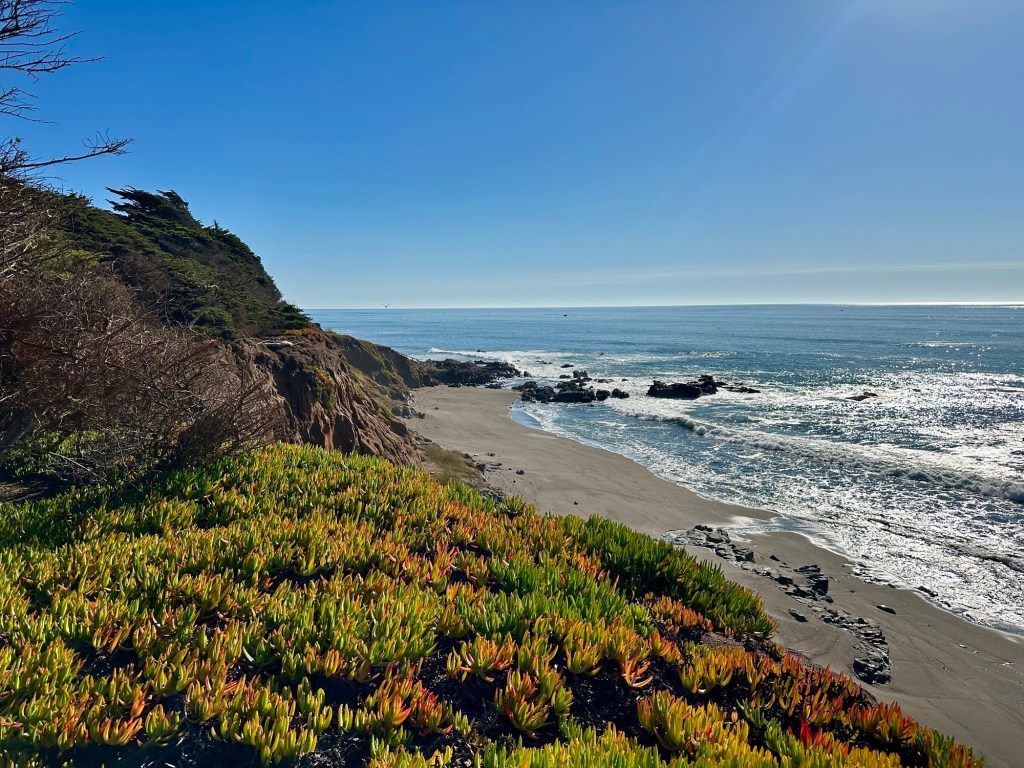 View from Highway 1 near San Simeon, California. Picture by Happy Vegan Campers.