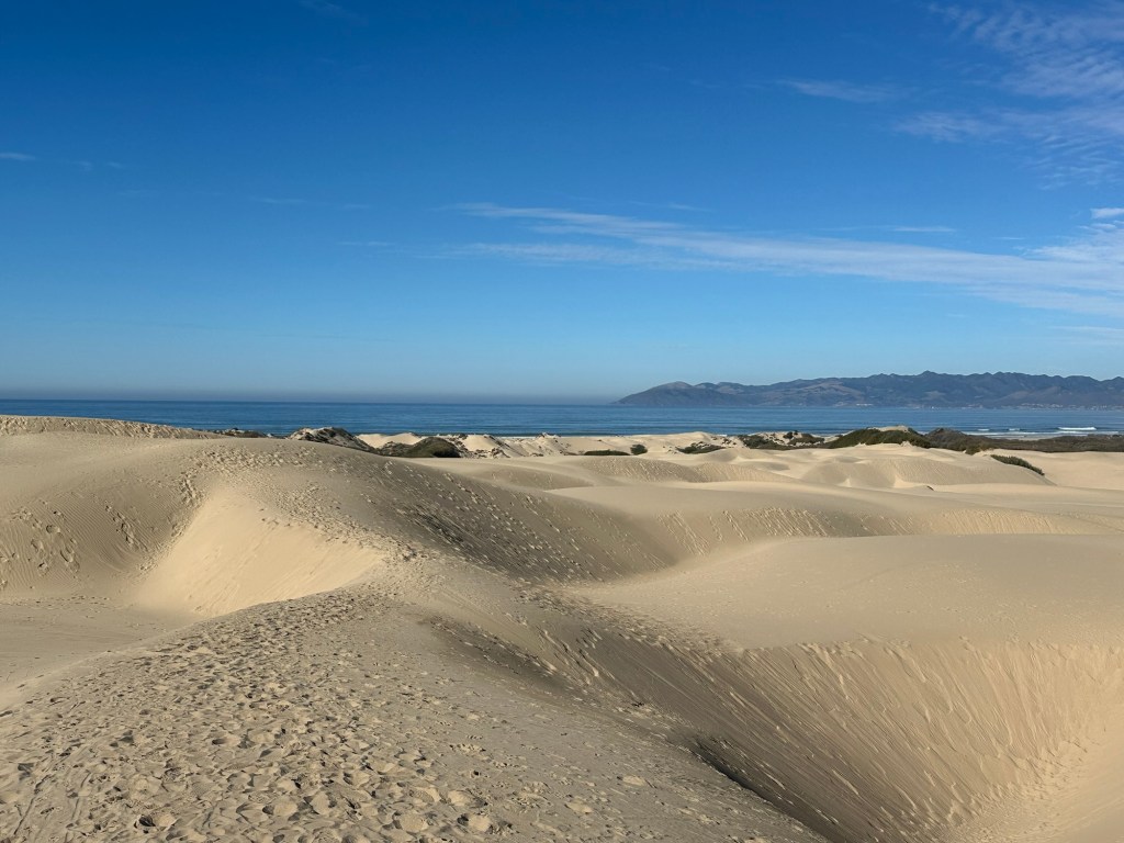 Oceano Dunes in Ocean, California. Picture by Happy Vegan Campers.