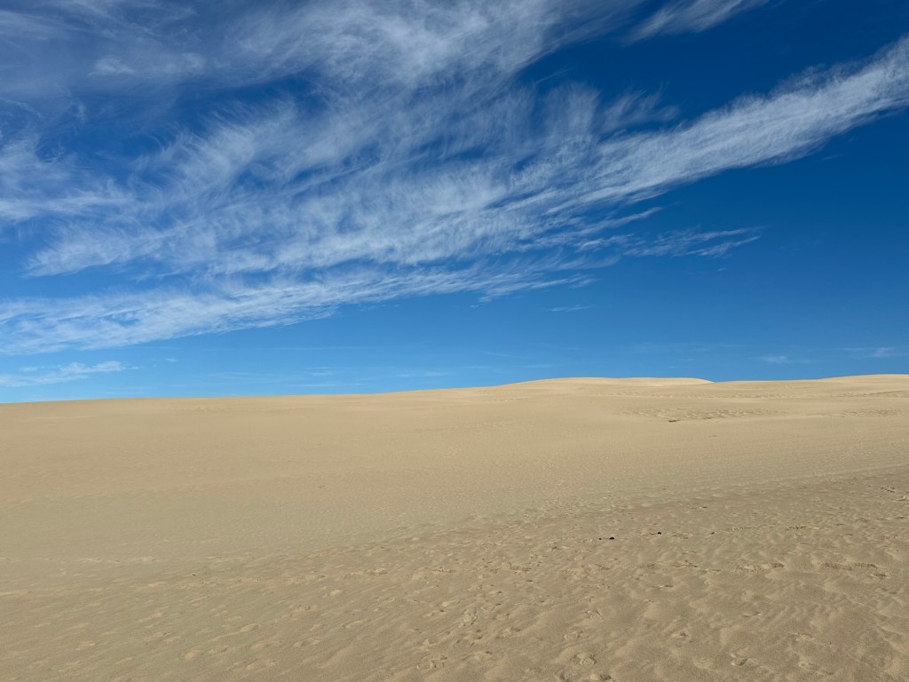 Oceano Dunes in Ocean, California. Picture by Happy Vegan Campers.