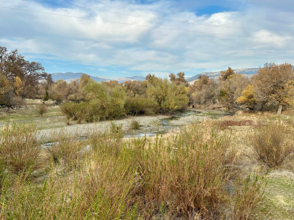 San Andreas fault in Parkfield, California. Picture by Happy Vegan Campers.