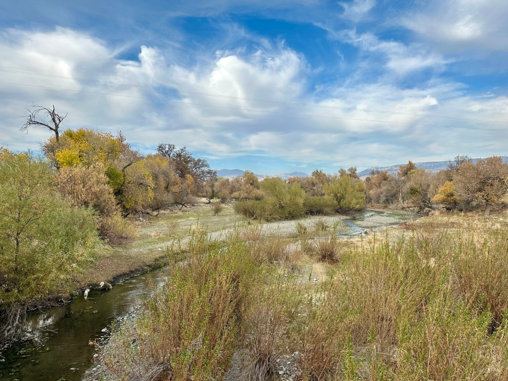 San Andreas fault in Parkfield, California. Picture by Happy Vegan Campers.